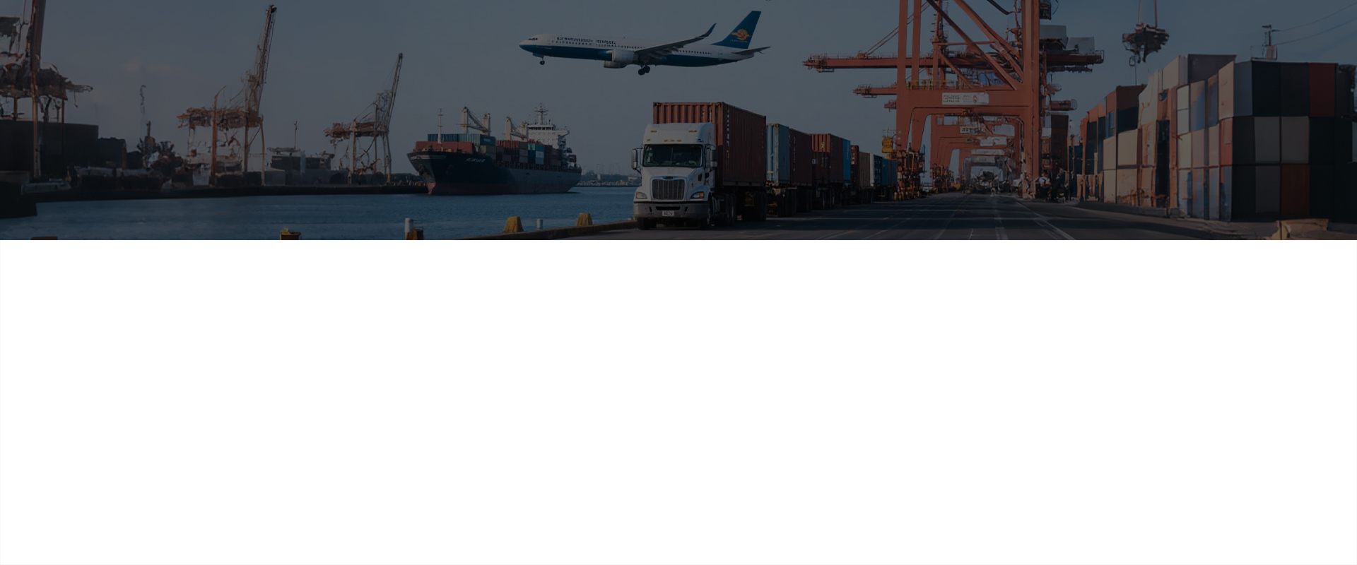 PROVIDE-PROFESSION-ON-SITE-SERVICE条幅