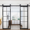 Aluminum Glass Barn Door 1